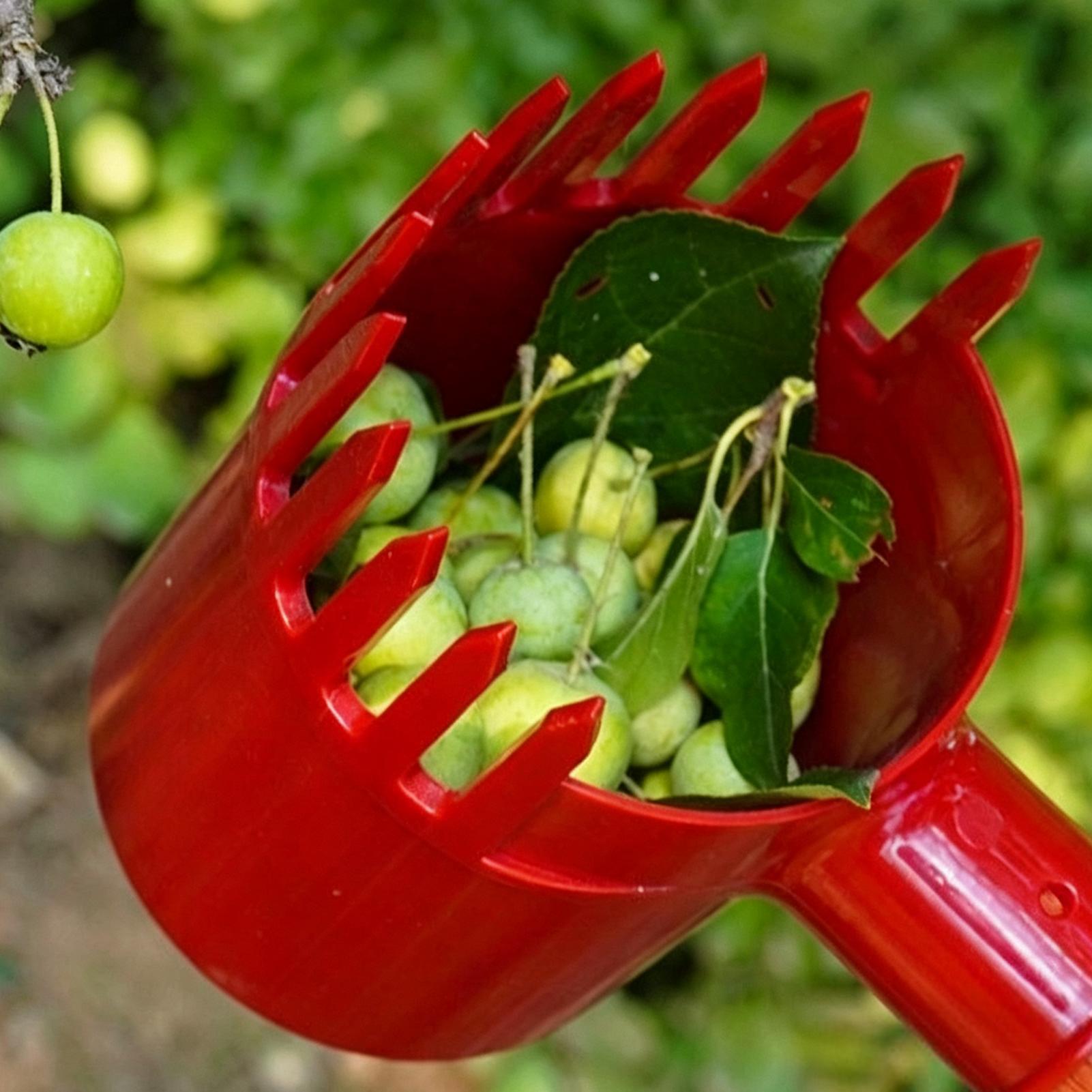 Colhedor de Frutas Portátil: F - Agriculture Tomato Farming avaliação e preço