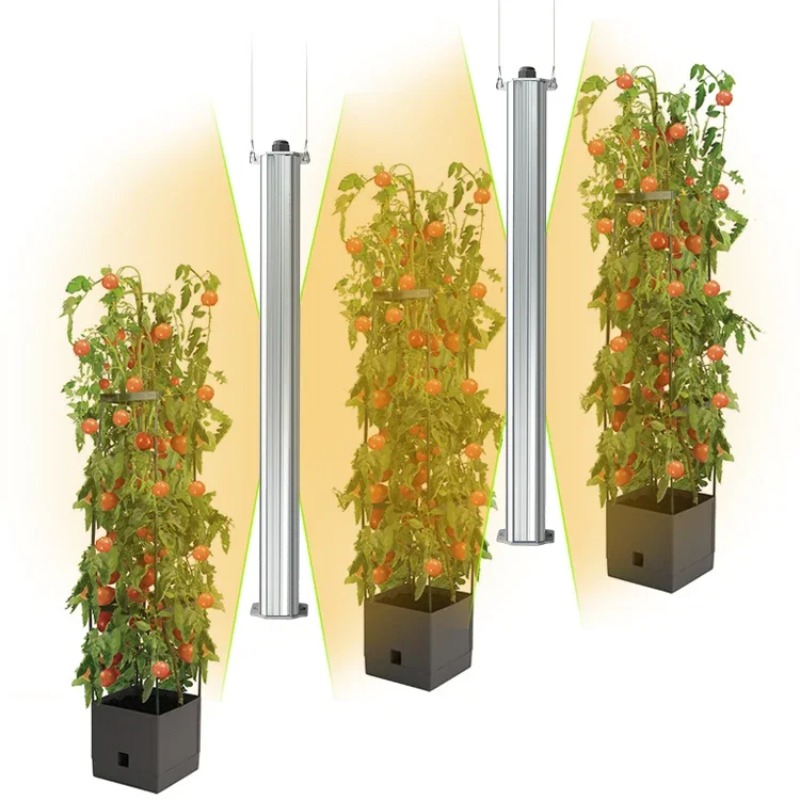 Melhor Sistema de Cultivo Vert - Agriculture Tomato Farming avaliação e preço