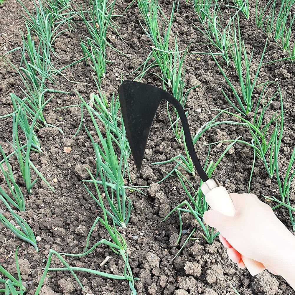 Enxadas Agrícolas Domésticas E - Agriculture Farming Vegetables avaliação e preço